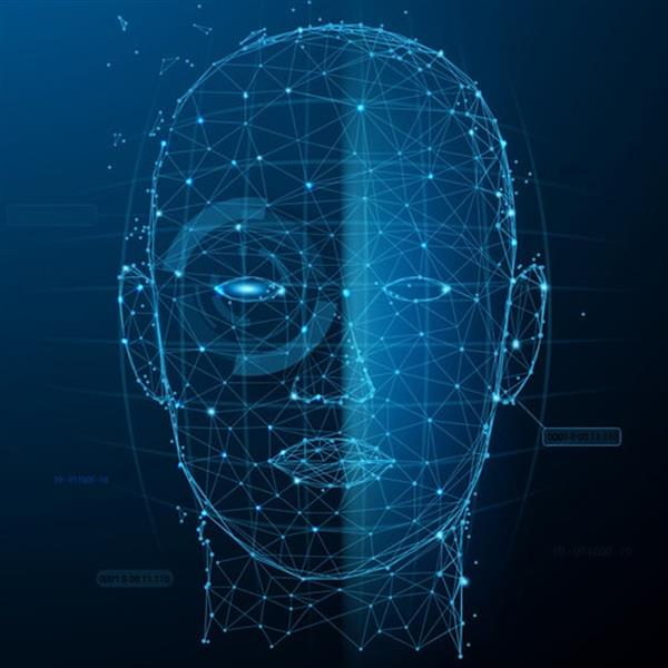 The Establishment of company